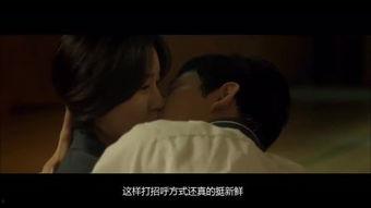 童真狩猎在线观看,揭秘网络世界的虚拟冒险之旅