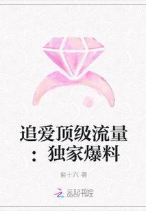 超级爆料小说最新章节,揭秘最新章节，揭开神秘事件真相